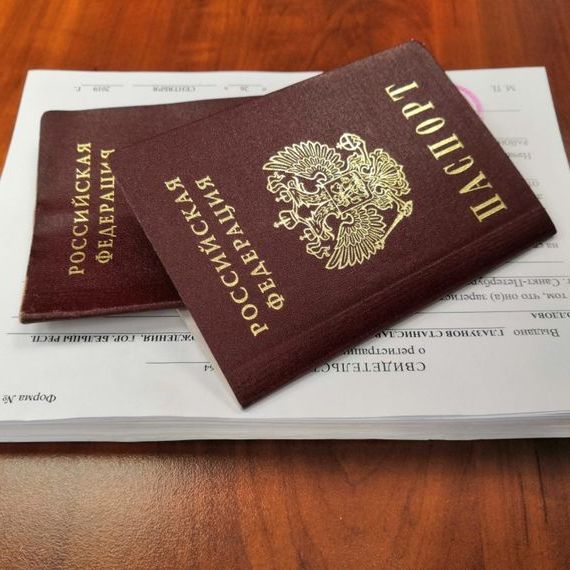 прописка в Димитровграде